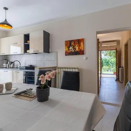 Διαμέρισμα Oasis With Terrace Pazin